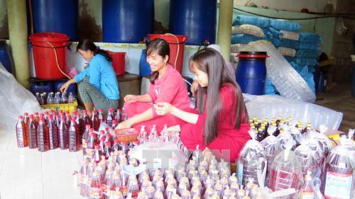 Giữ vững chất lượng nước mắm sau sự cố môi trường biển